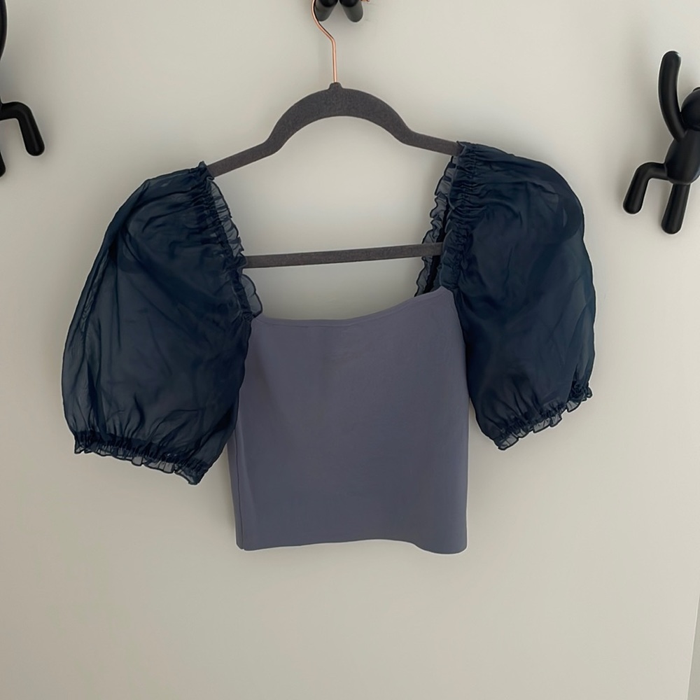 EUC aritzia Wilfred sheer sleeve top
